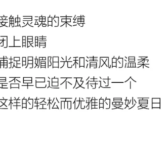 YF | 夏 你好，盛夏隨心型走
